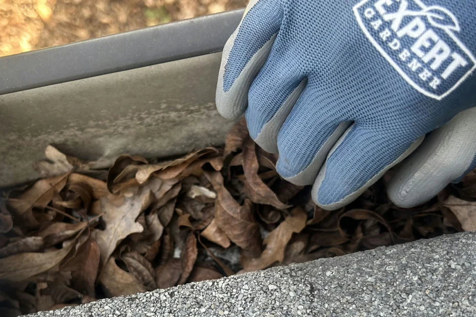 Gutter Cleaning Hoover