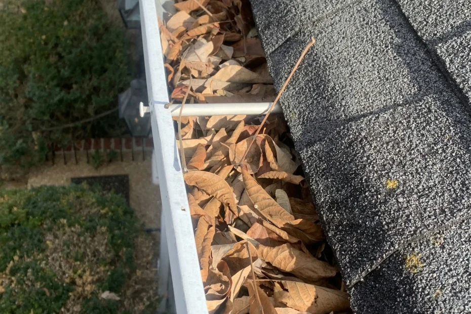 Gutter Cleaning Hoover